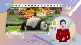 久久一区二区三区四区